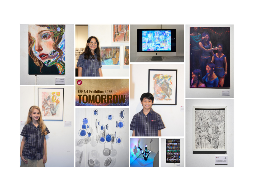 Website gallery