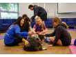 Therapy_Dogs--8