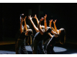 WIS_Evening_Of_Dance--163