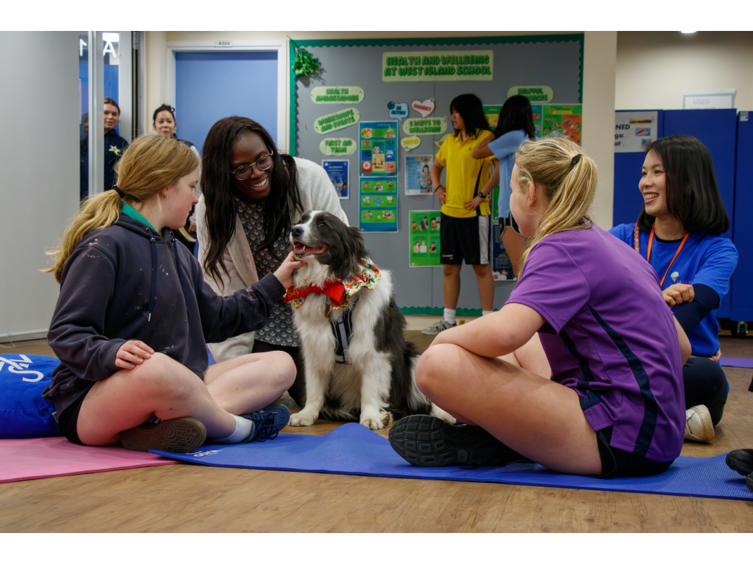 Therapy_Dogs--6 (1)