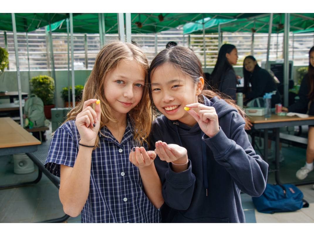 Students_Lunch_Sundeck_Cage--6 (1)